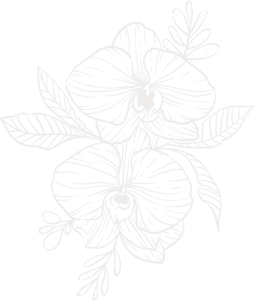 Picture of an Orchid on a Transparent Background